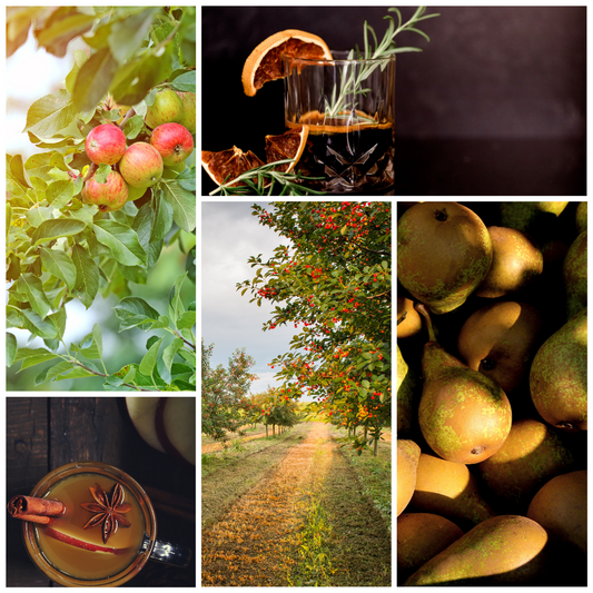 Autumn Orchard Soy Blend Candle