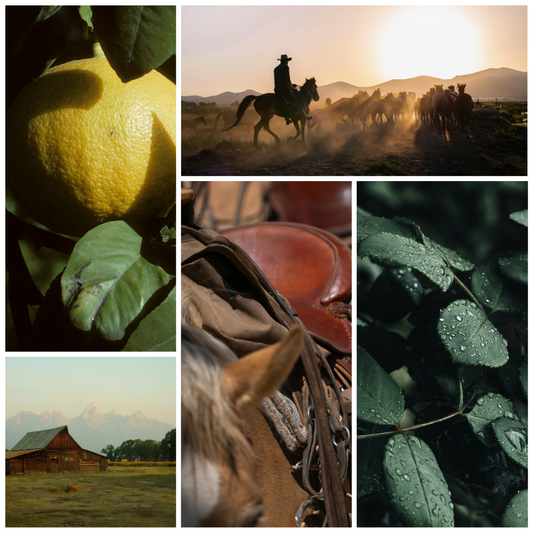 Legacy Scent Profile