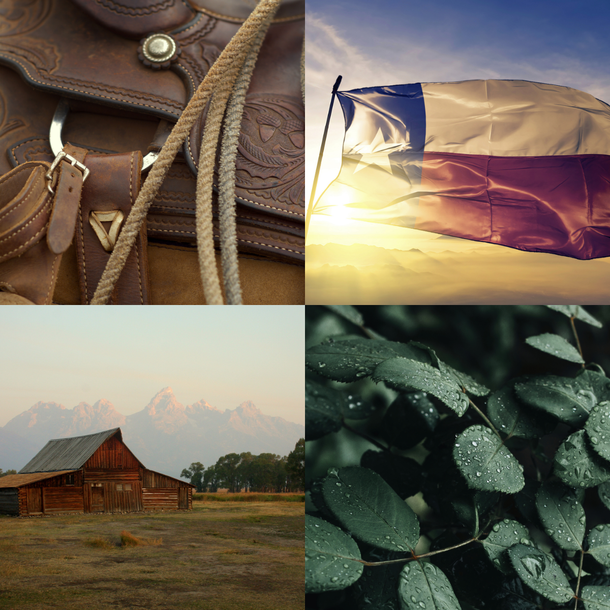 Collage of a brown leather bag, a flag, a barn, and leaves with water droplets.