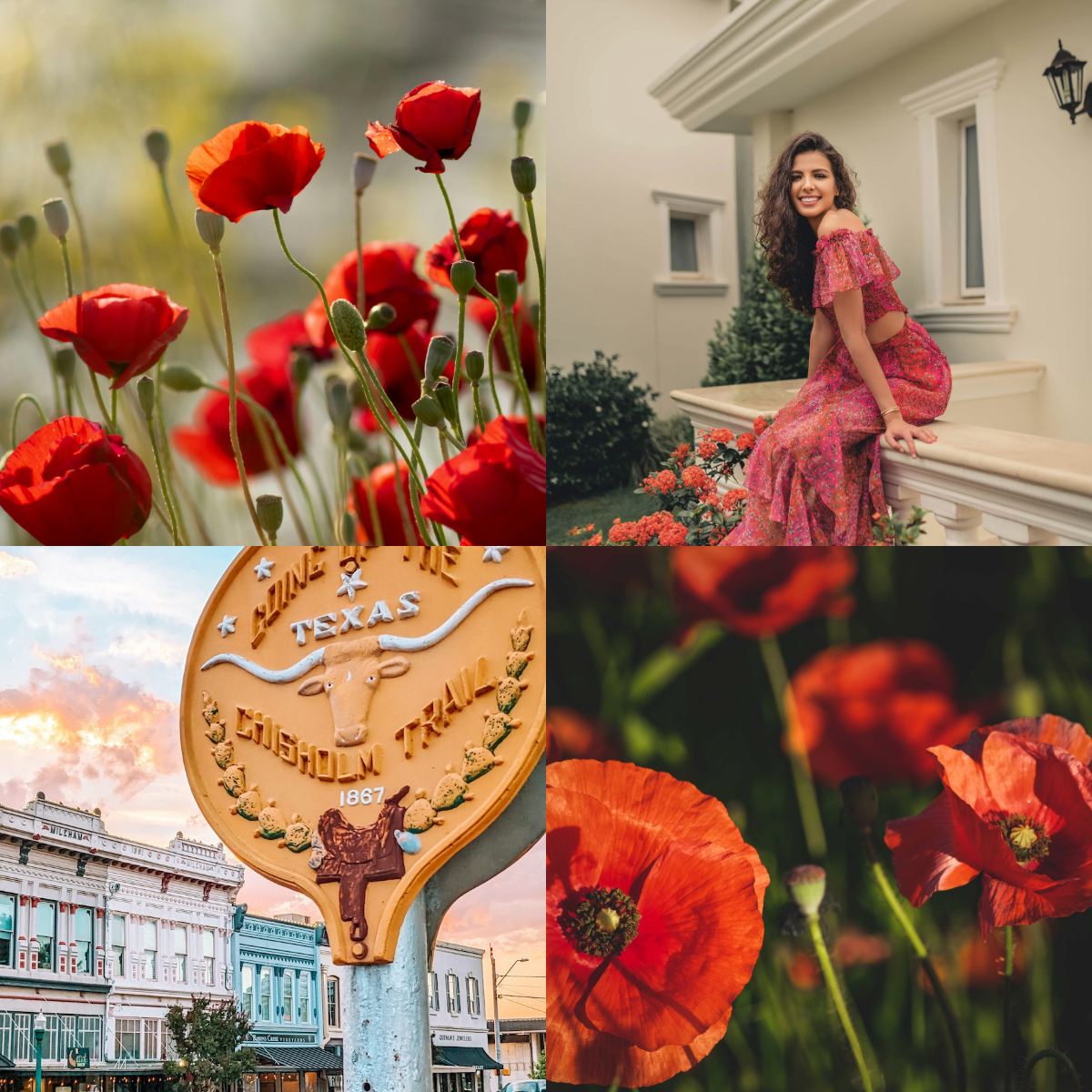 Collage of red flowers, a woman in a pink dress, a Texas sign, and a close-up of a red flower.