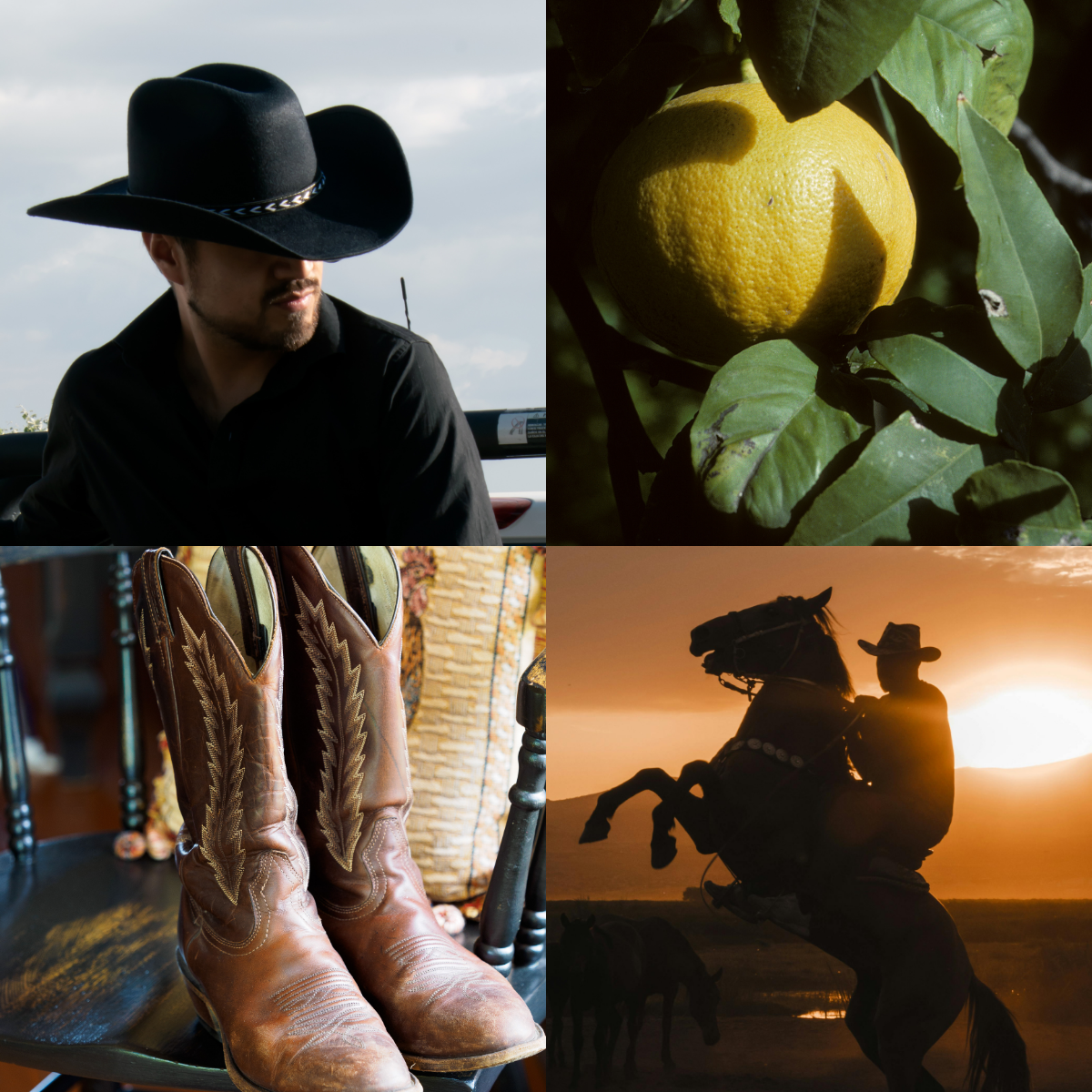 Collage of a man in a cowboy hat, a lemon on a tree, cowboy boots, and a sunset scene with a horse.